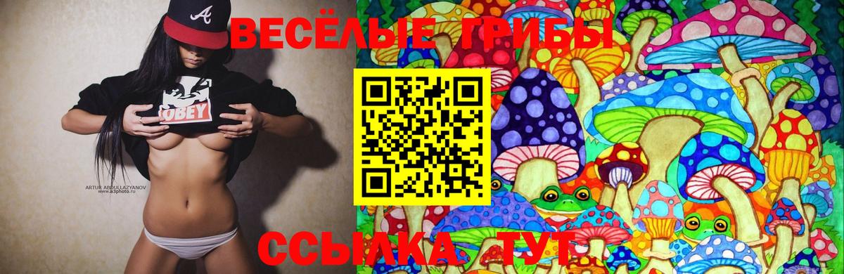 Псилоцибиновые грибы MAGIC MUSHROOMS Белгород