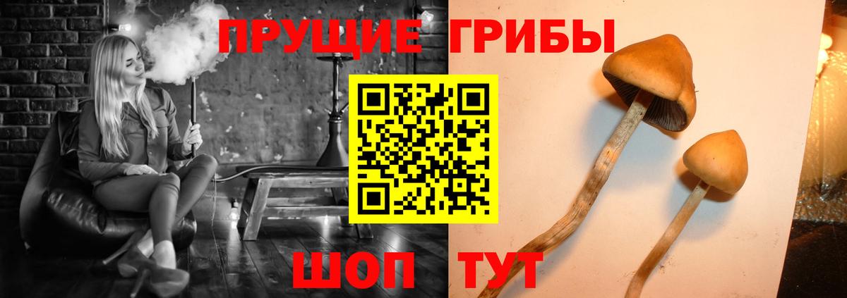 Псилоцибиновые грибы Psilocybine cubensis  Вход с VPN  Галлюциногенные грибы Magic Shrooms  Белгород 
